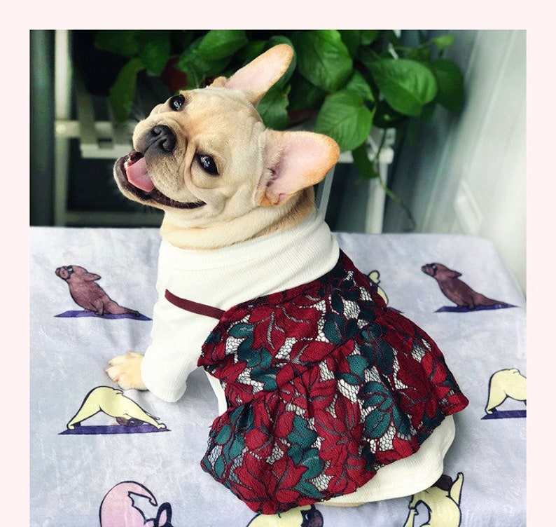 Lace Dress Tee Shirt Spring Evening Pullover Skirt Cocktail Dress