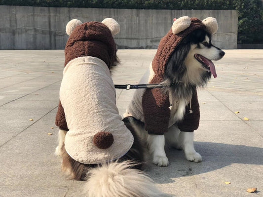 Teddy Bear Costume Hoodie for Big Dog