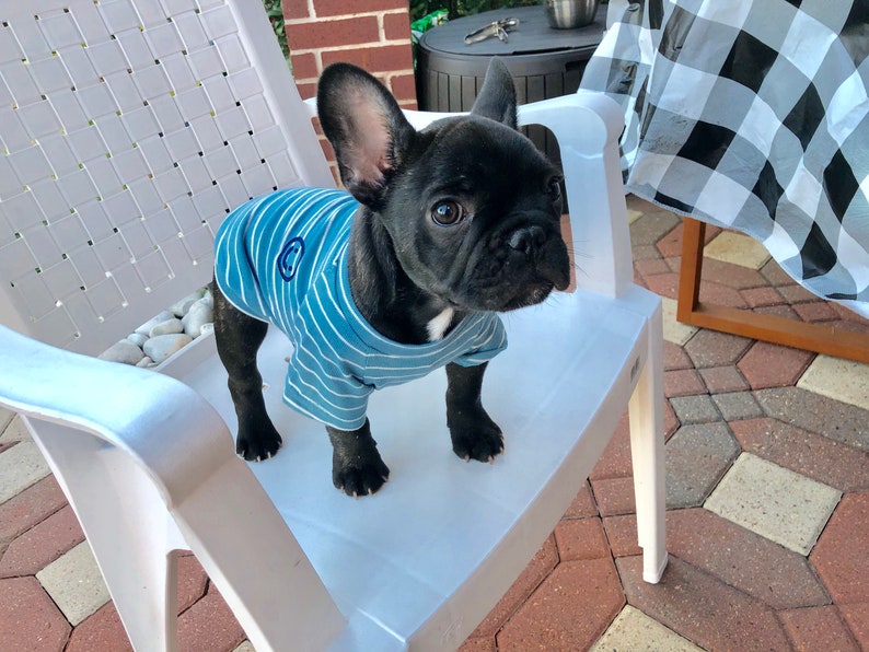 Blue White Striped Embroidery Owner and Pet Matching