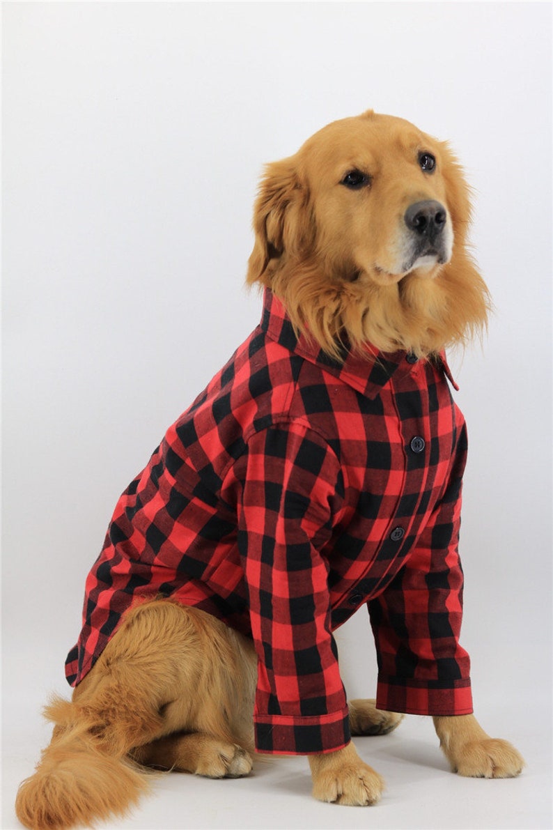 Plaid Gingham Flannel Button Shirt