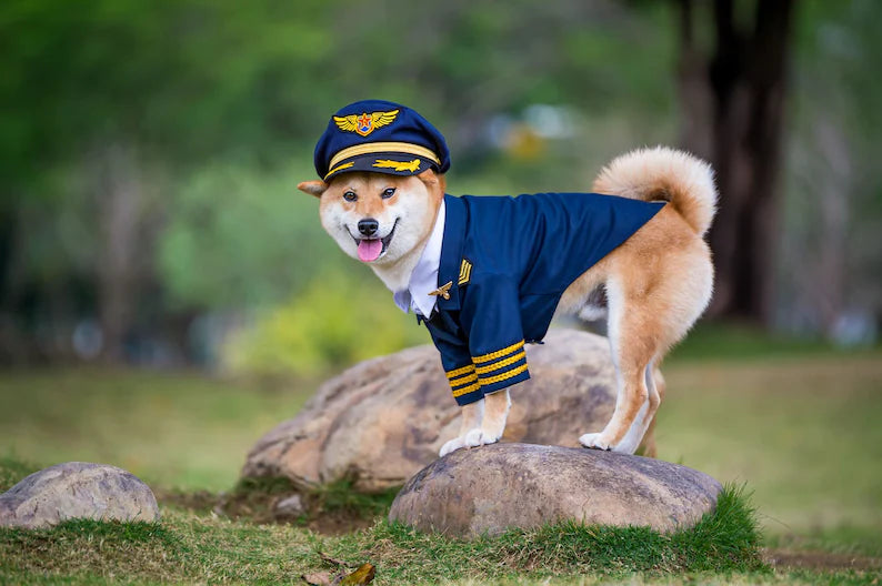 Pilot Captain Aviator Uniform Blazer Coat and Hat