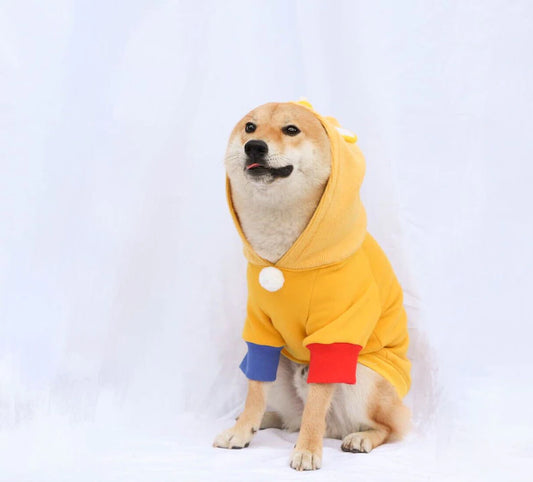Tailor Made Dog Cat Pet Little Duck Ducking Hoodie with 3D Duck