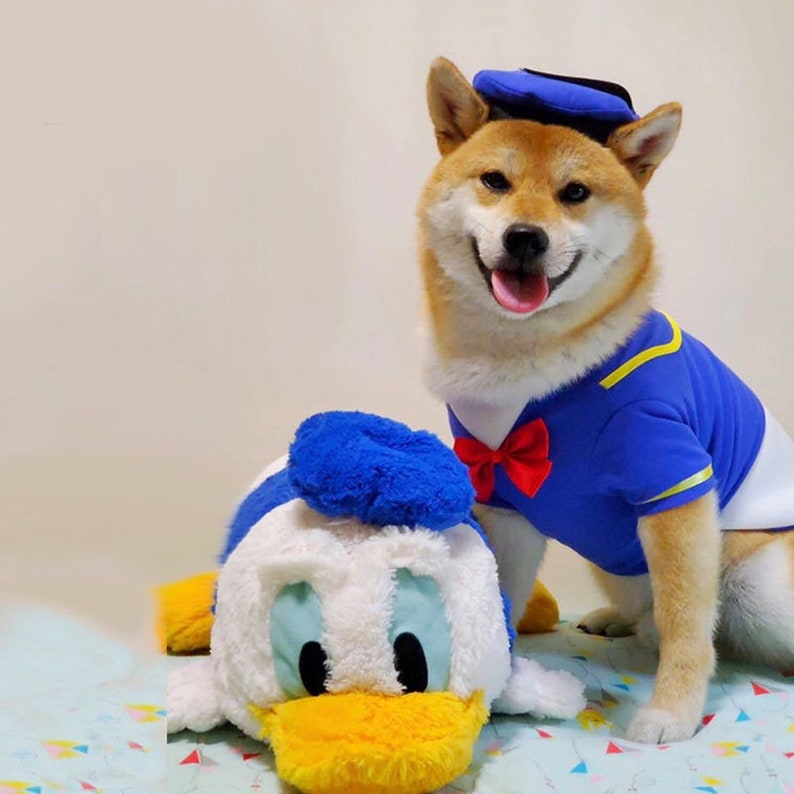 Hat and 3D Duck Tail Costume