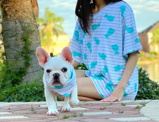 Pina Pineapple Owner and Pet Matching Bandana