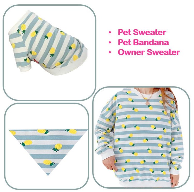 Piña Ananas Pineapple Owner and Pet Family Matching Set