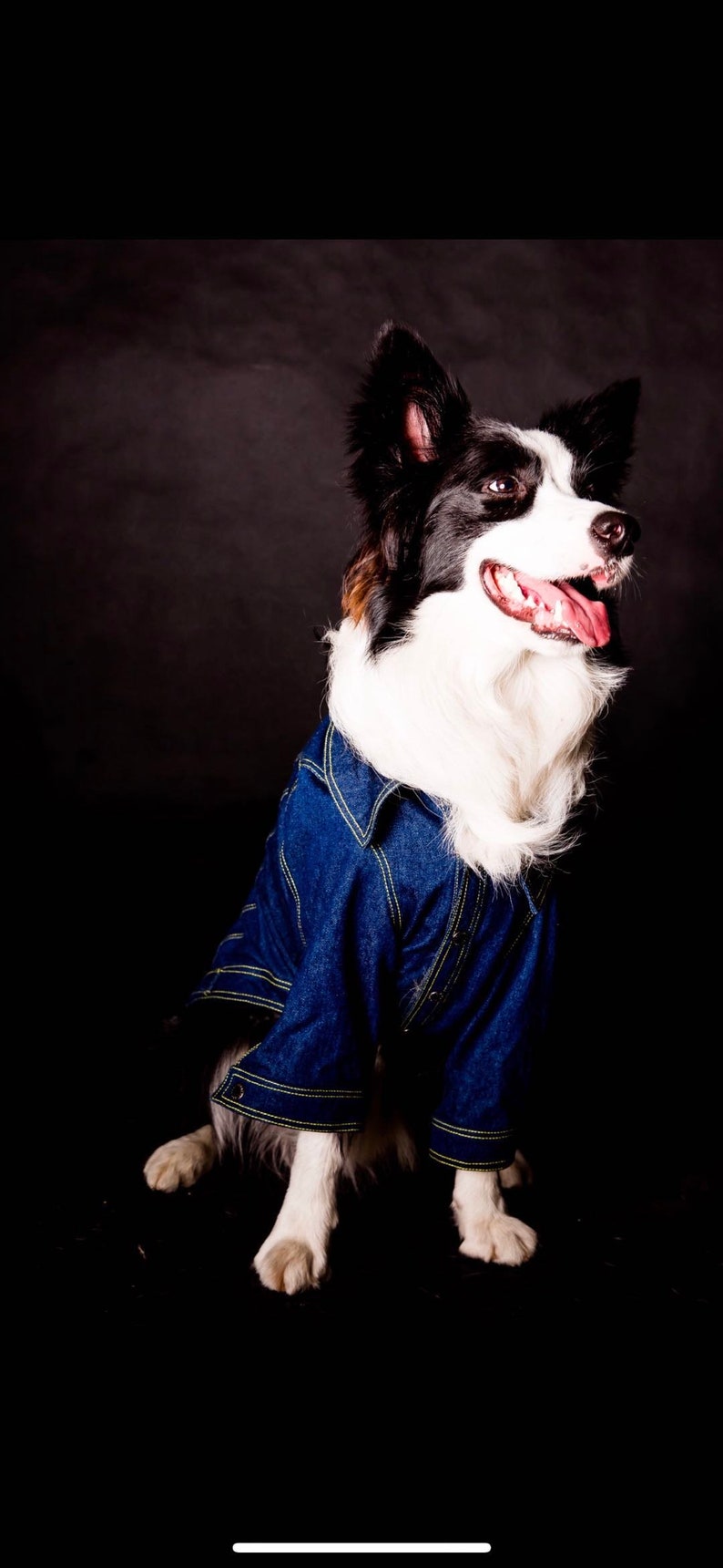 Denim Jean Shirt