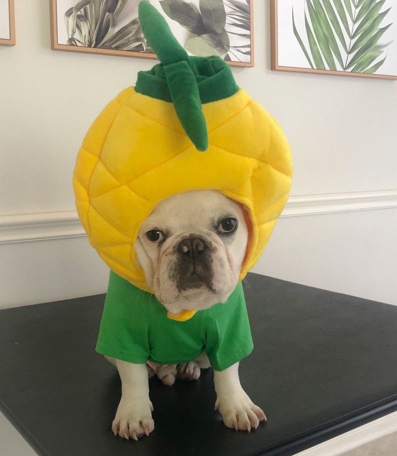 Big Pineapple Costume