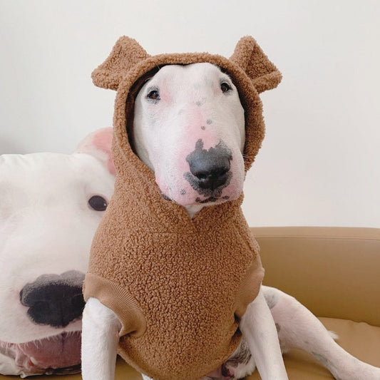 Teddy Bear 3D Ear Hoodie for Big Dog