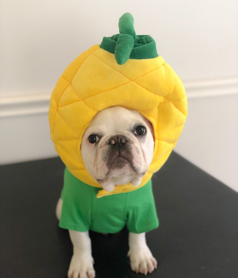 Big Pineapple Costume