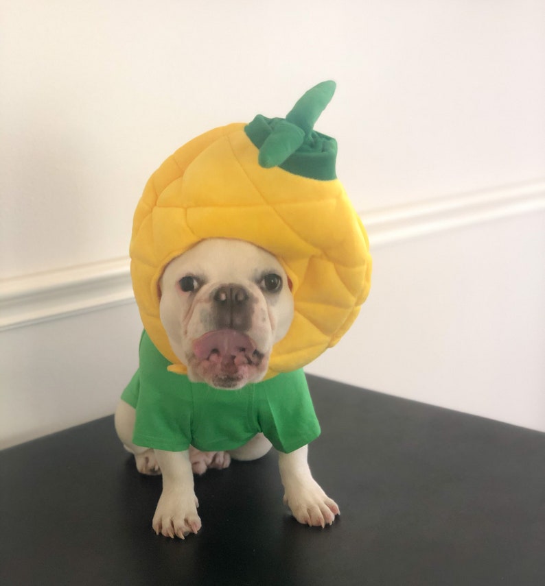 Big Pineapple Costume