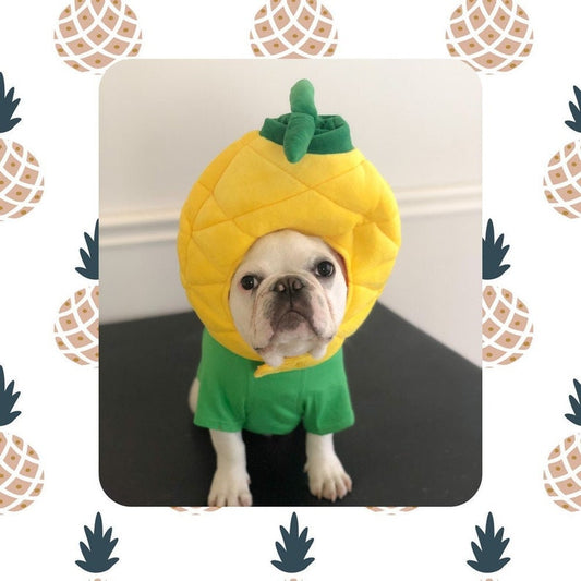 Big Pineapple Costume
