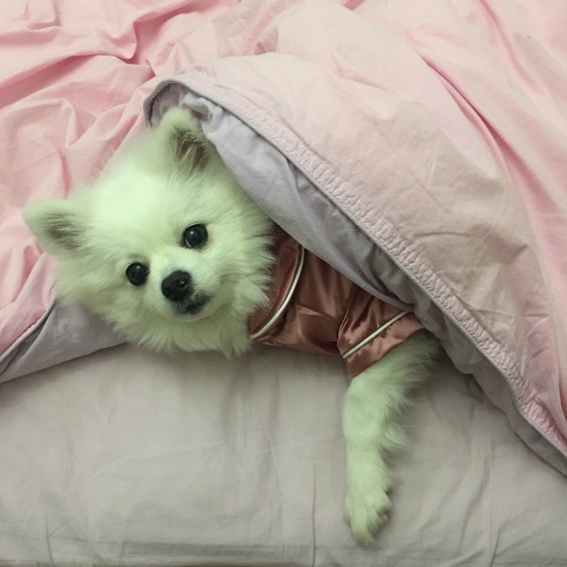 Satin PJ Pajamas Sleepwear