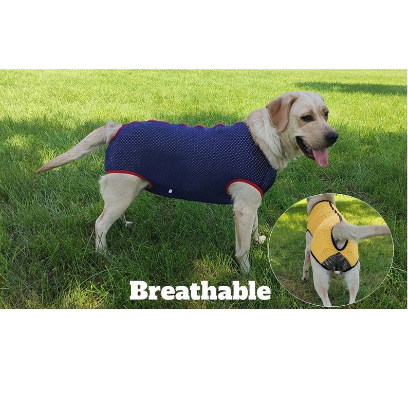 Big Dog Mesh Summer Recovery Post Surgical Skin Protector Bodysuit