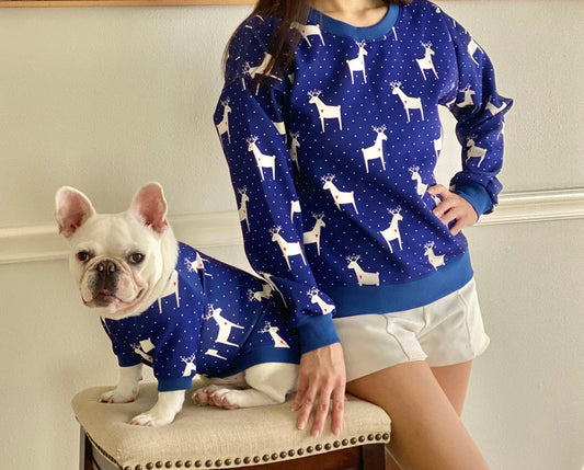 Blue Reindeer Owner and Pet Matching Set