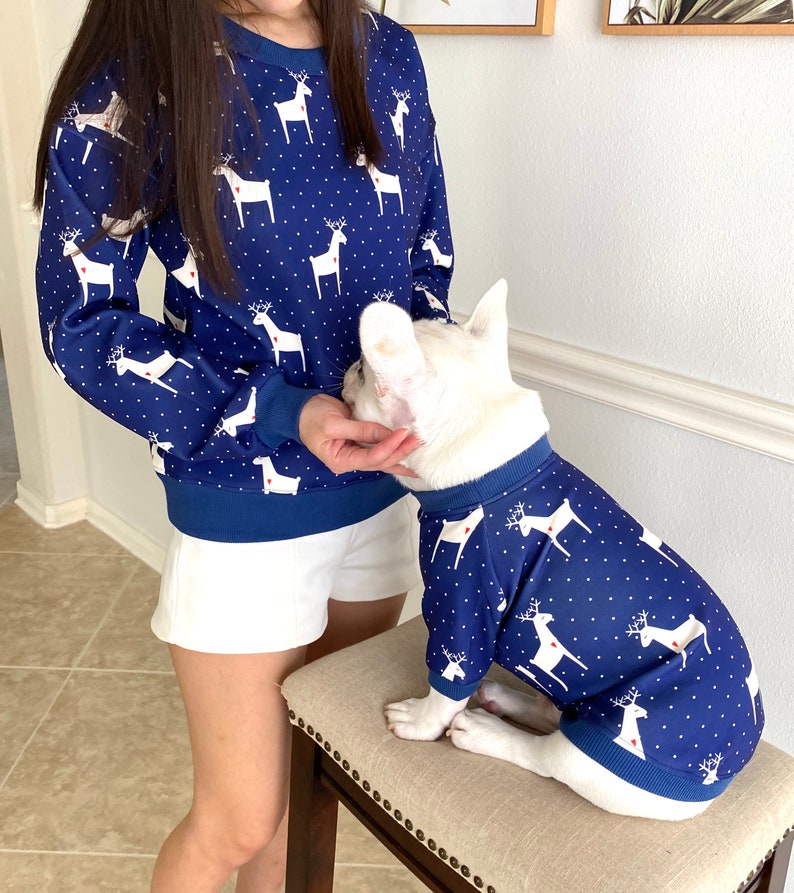 Blue Reindeer Owner and Pet Matching Set