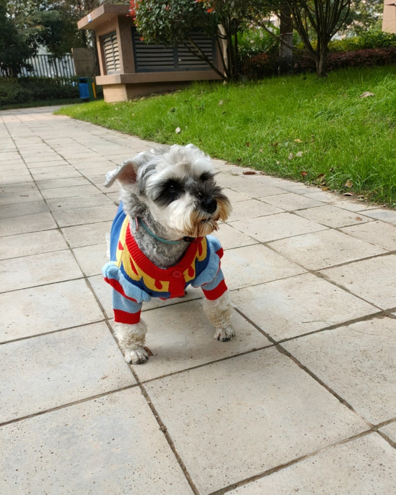 Snow White Princess Color block Cardigan