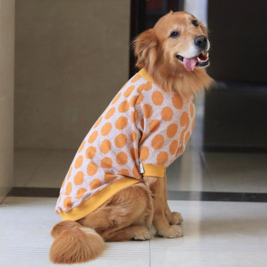 Orange Polka Dot Sweater for Big Dog