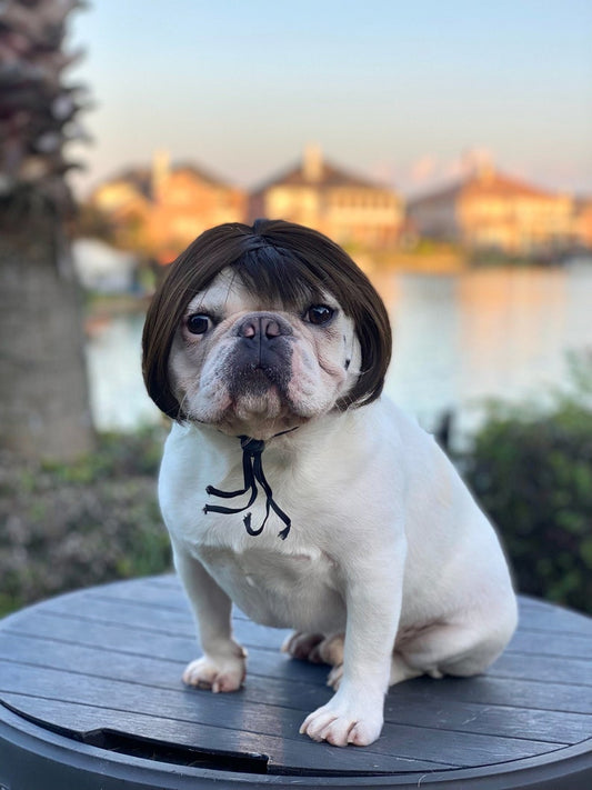 Wig Fake Hair Bangs Funny Costume