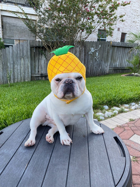 Pineapple Costume Mascot Hat