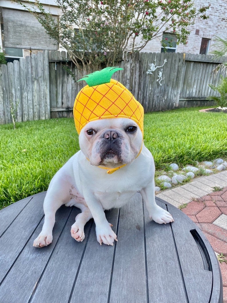 Pineapple Costume Mascot Hat