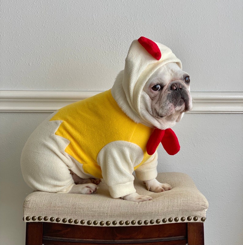 Newly-Hatched Chick Yellow Little Chicken Bodysuit