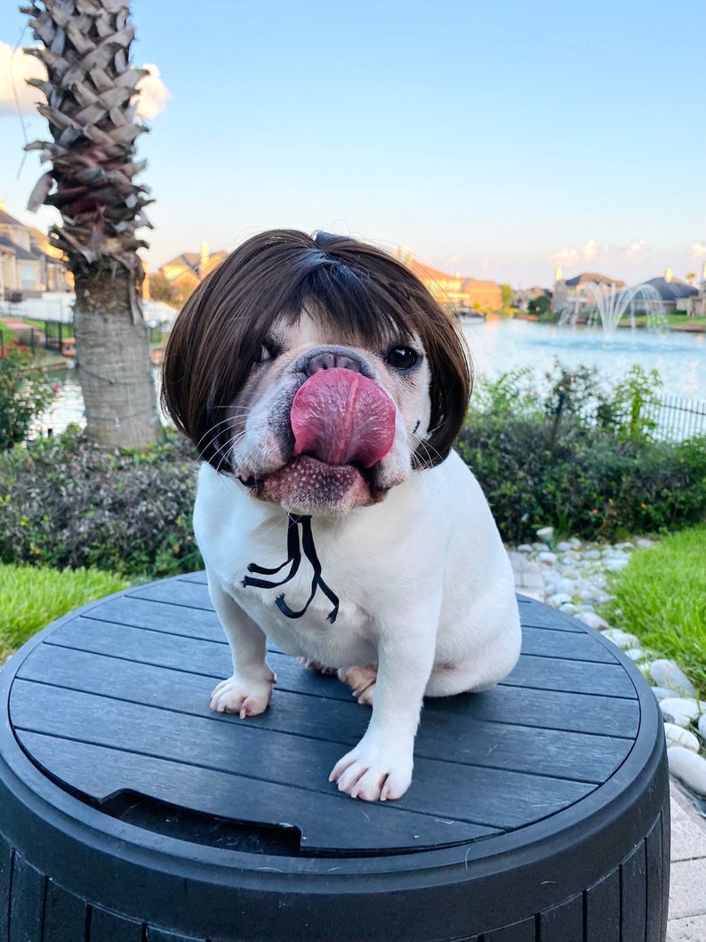 Wig Fake Hair Bangs Funny Costume