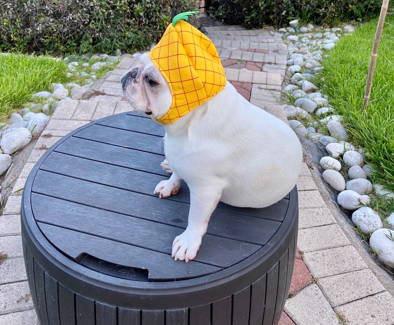 Pineapple Costume Mascot Hat