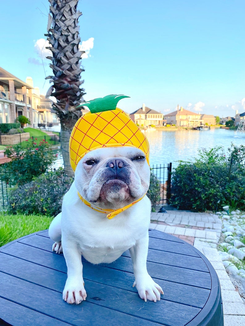 Pineapple Costume Mascot Hat