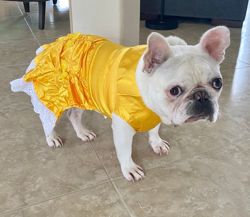 Belle Princess Yellow Golden Dress