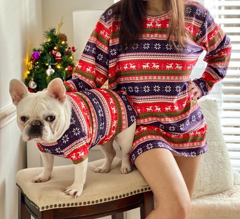 Classic Holiday Print Owner and Pet Matching