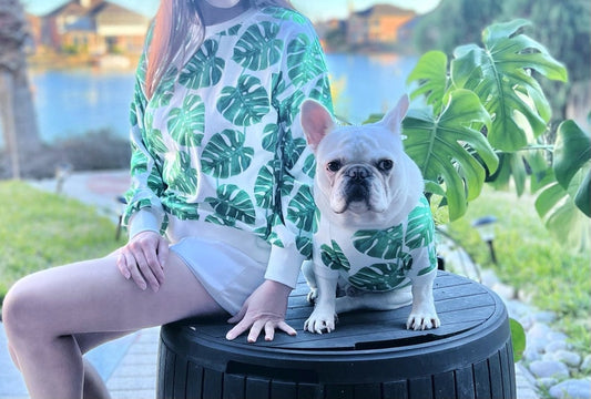 Variegated Monstera Owner and Pet Family Matching Set