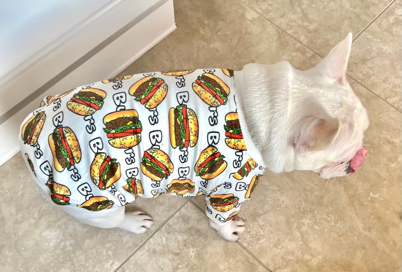 Hamburger Owner and Pet Matching Set