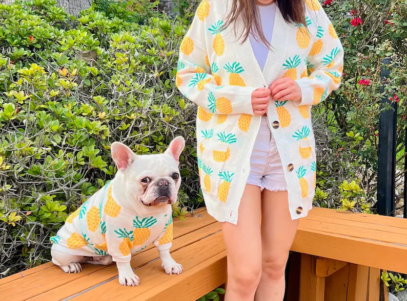 Pineapple Ananas Owner Cardigan and Pet Sweater Matching Set