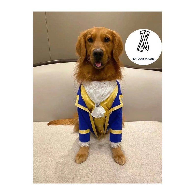 The Beast Pet Custom Made Costume