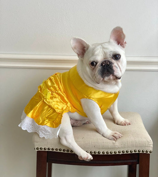 Belle Princess Yellow Golden Dress