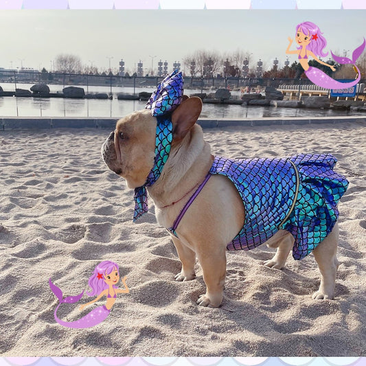 Iridescence Mermaid Pet Costume