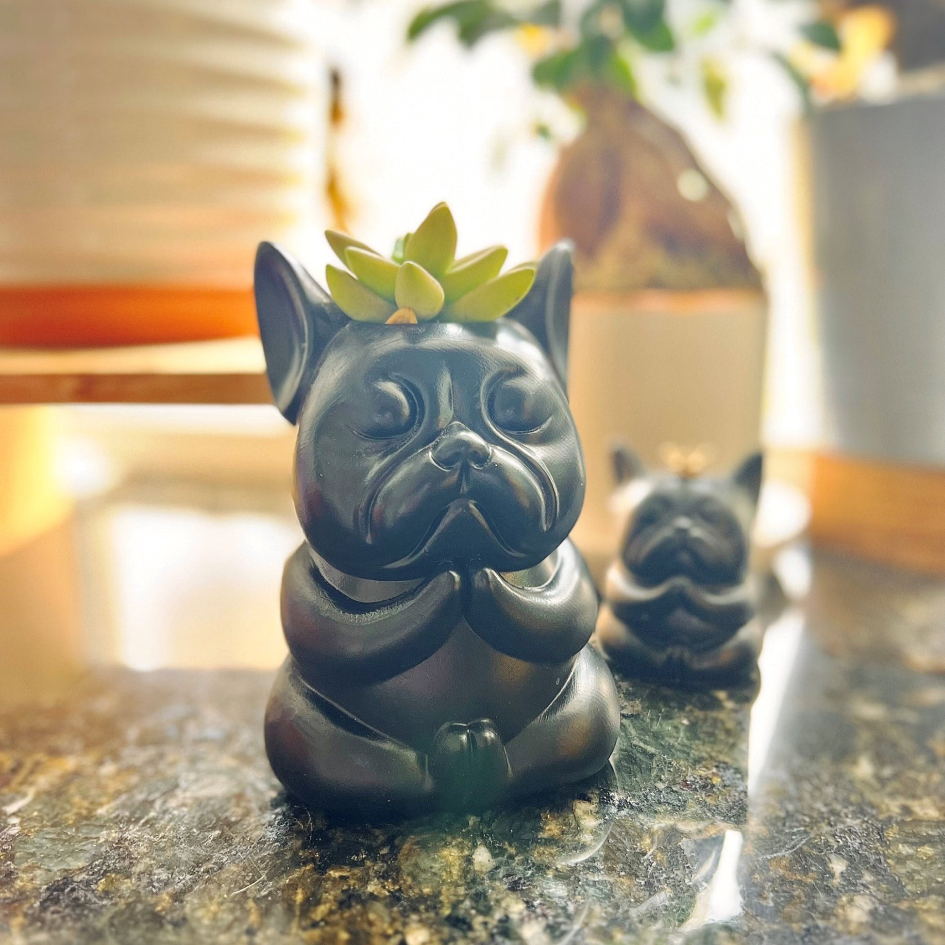 french bulldog succulent planter French Bulldog Vase Plant Flower Succulent Pot/ Pencil Holder – fit-frenchie.com